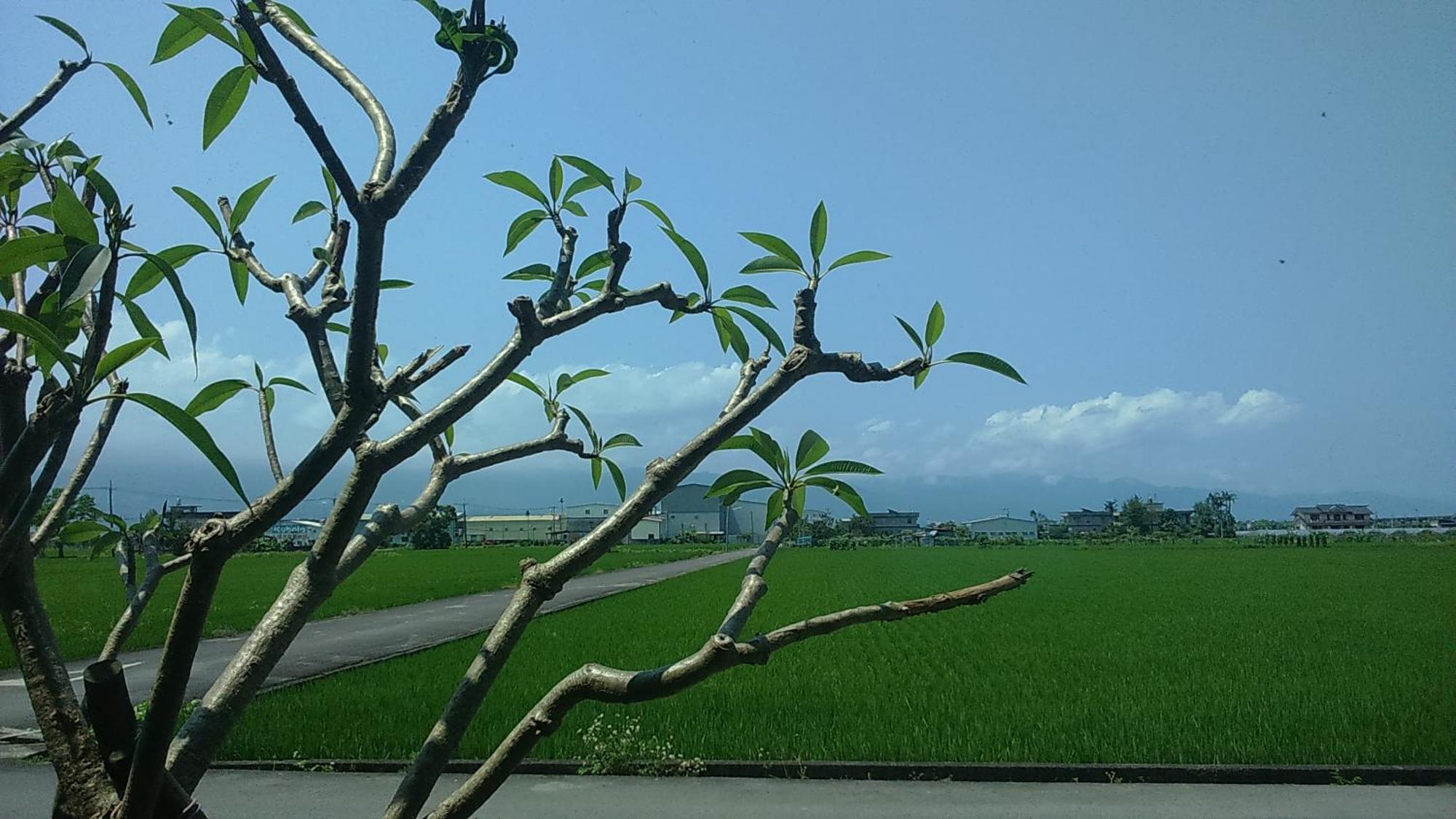 Countryside B&B Zhuangwei Extérieur photo